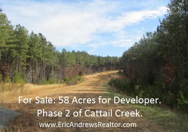 58 acres land for developer